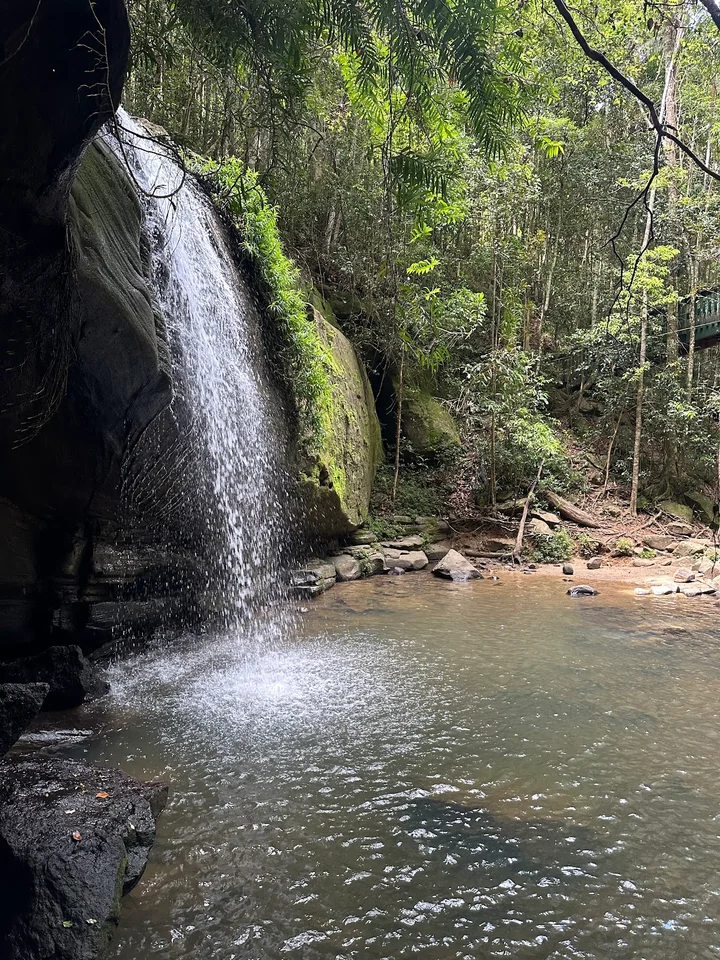 Mapleton Falls lookout in Mapleton | Ask Anything