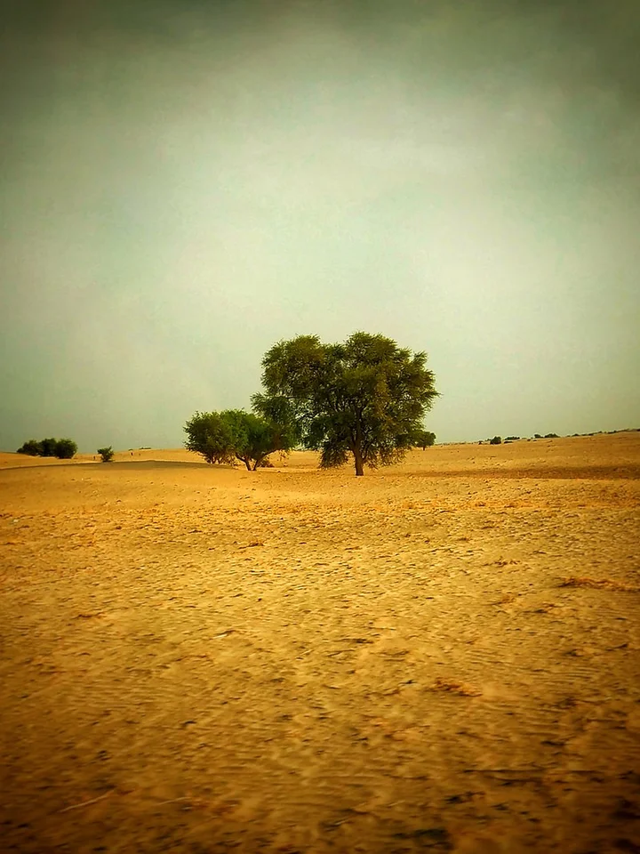 Thal Desert in Punjab - Ask AI | mindtrip