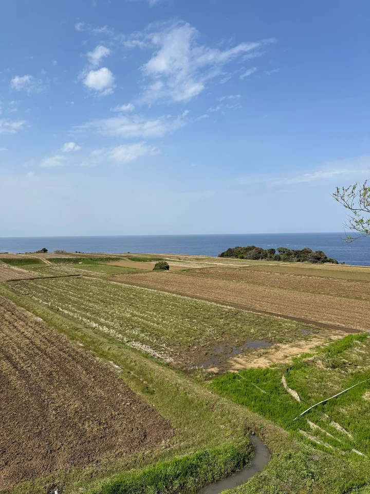 Nii Rice Terrace View Point and Parking - Ask AI | mindtrip