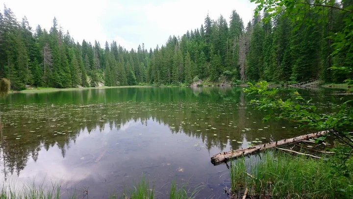 Barno jezero in Zabljak | What to Know Before You Go