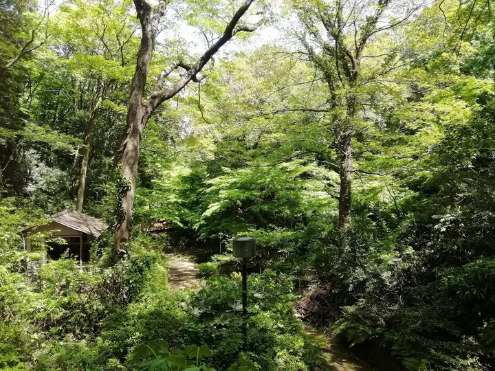 川崎市民プラザ 日本庭園 in Komae | What to Know Before You Go