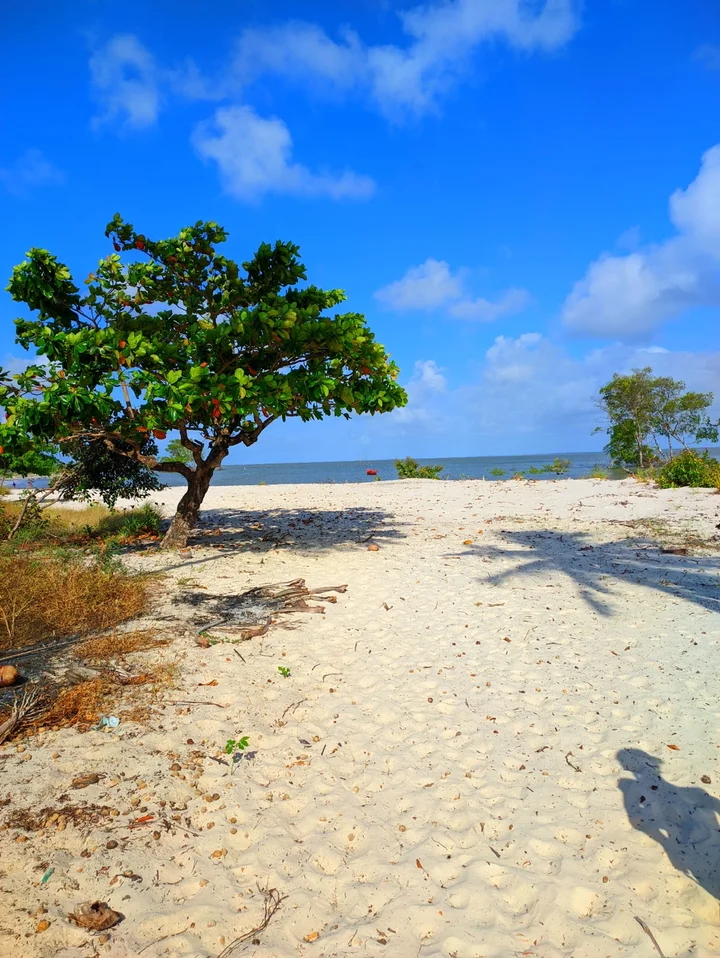 Praia de Sababa | What to Know Before You Go