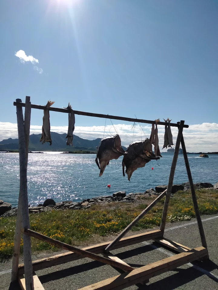 Cruise Terminal Leknes in Gravdal - Ask AI | mindtrip