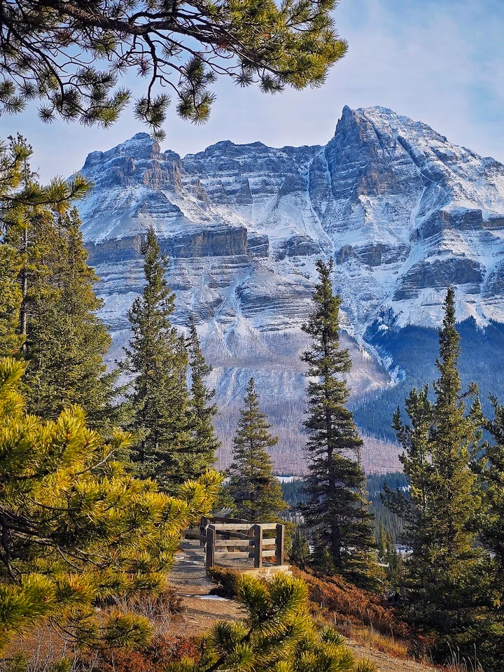 Howse Pass Viewpoint | Ask Anything