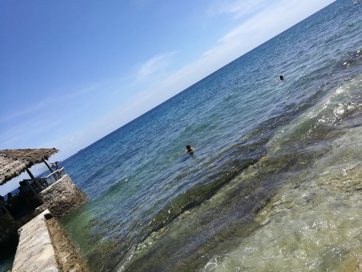 Turtle Point in Catmon, Central Visayas - Ask AI | mindtrip