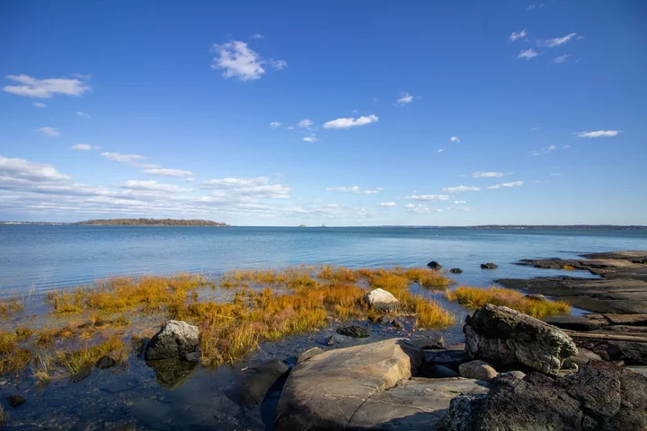 Two Trees Island | What to Know Before You Go