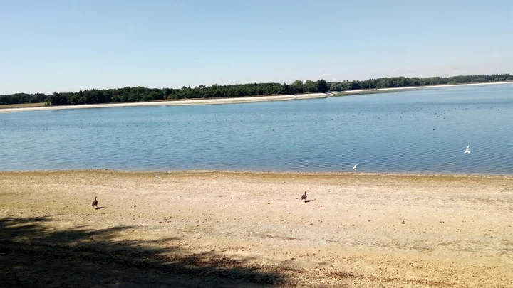 Hanningfield Nature Reserve | What to Know Before You Go