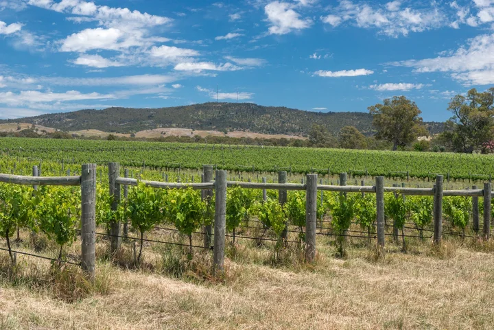 Sutton Grange Winery in Sutton Grange - Ask AI | mindtrip