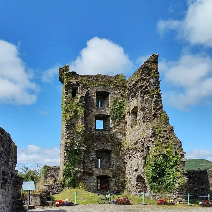 Carriganass Castle in Kealkill - Ask AI | mindtrip