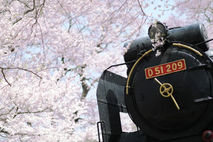 蒸気機関車 D51 238号機 in Kiso-mura | What to Know Before You Go