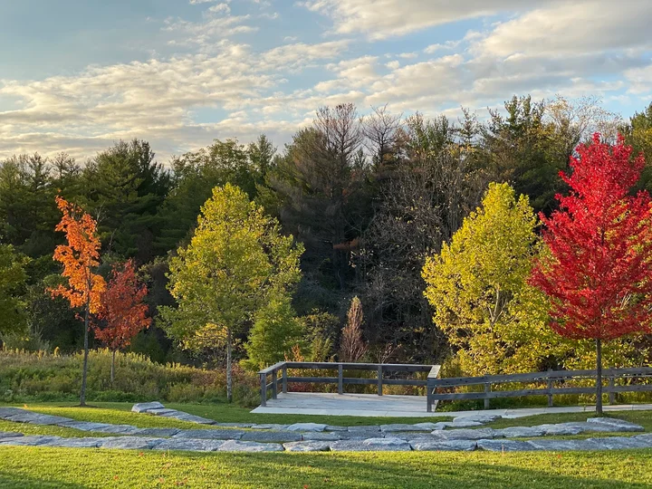 Environmental Park Playground in Newmarket | Ask Anything