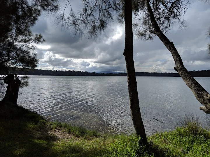 Wyee Point Reserve in Bonnells Bay | Ask Anything