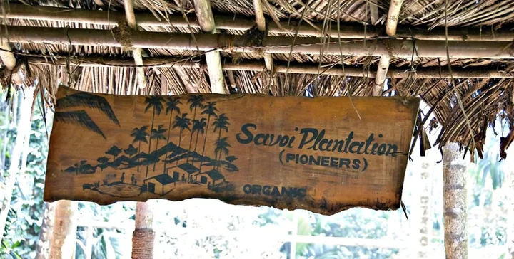 Savoi Plantation in Betki, Goa | What to Know Before You Go