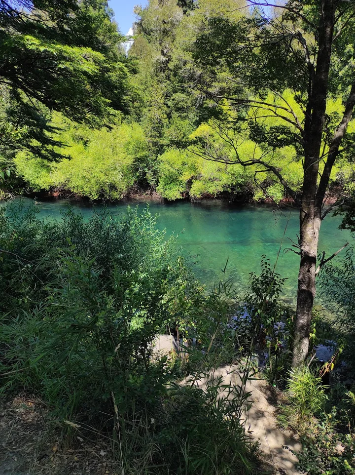 Fui River in Neltume, Los Ríos - Ask AI | mindtrip