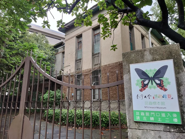 Taiwan Insect Museum in Taipei, Taipei City | Ask Anything