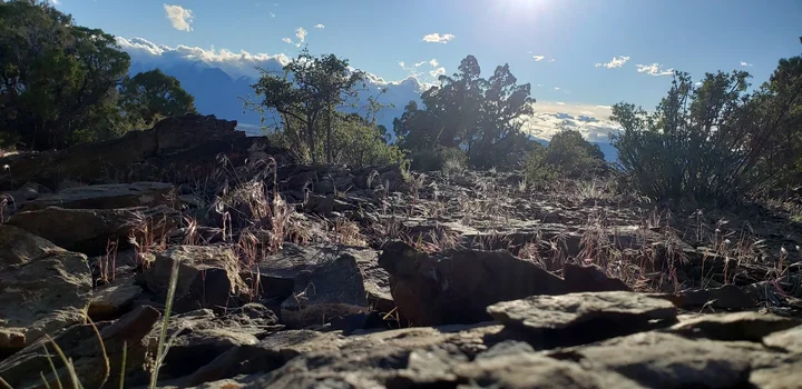 Pinyon Trail in Carter Springs, Nevada - Ask AI | mindtrip