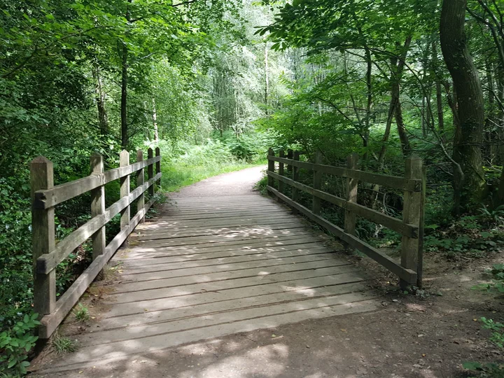 Ashdown Forest in Forest Row, England - Ask AI | mindtrip