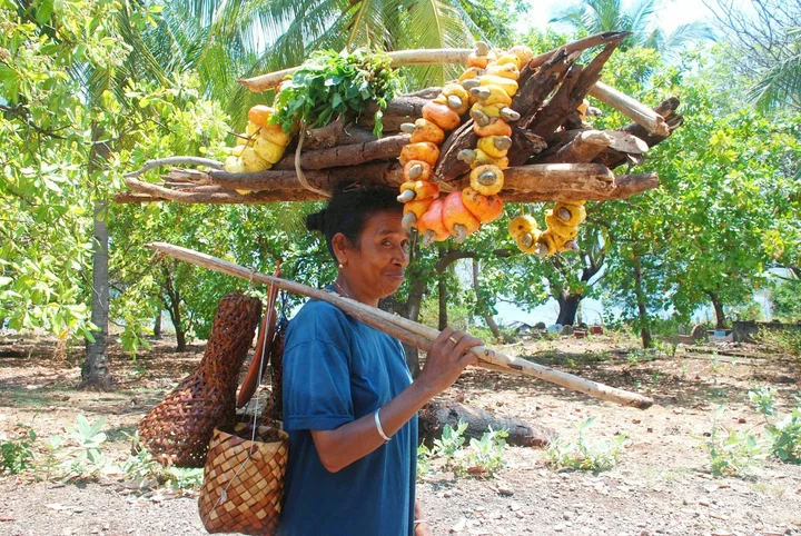 JAVARA Culture Jakarta in Jakarta - Ask AI | mindtrip