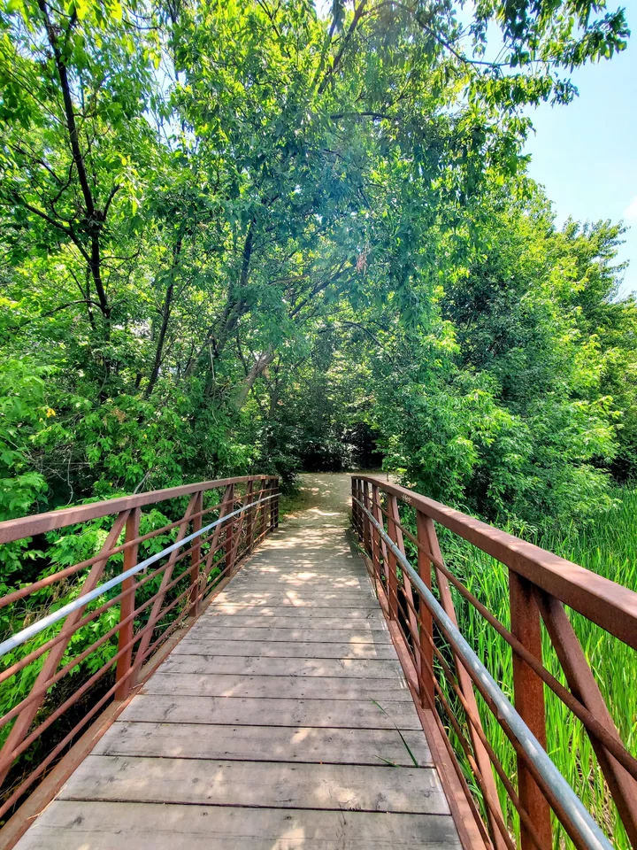 Don River in Toronto, Ontario - Ask AI | mindtrip