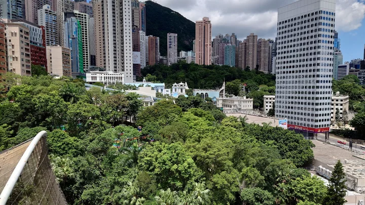 The Iron Fairies Hong Kong in Hong Kong - Ask AI | mindtrip