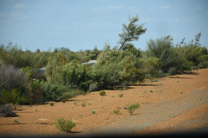 Boorabbin National Park | What to Know Before You Go