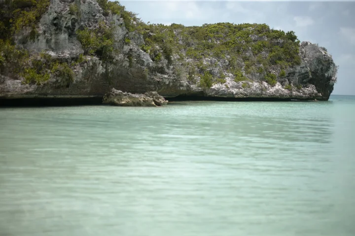 Bonefish Point in Kew Town, Caicos Islands | Ask Anything
