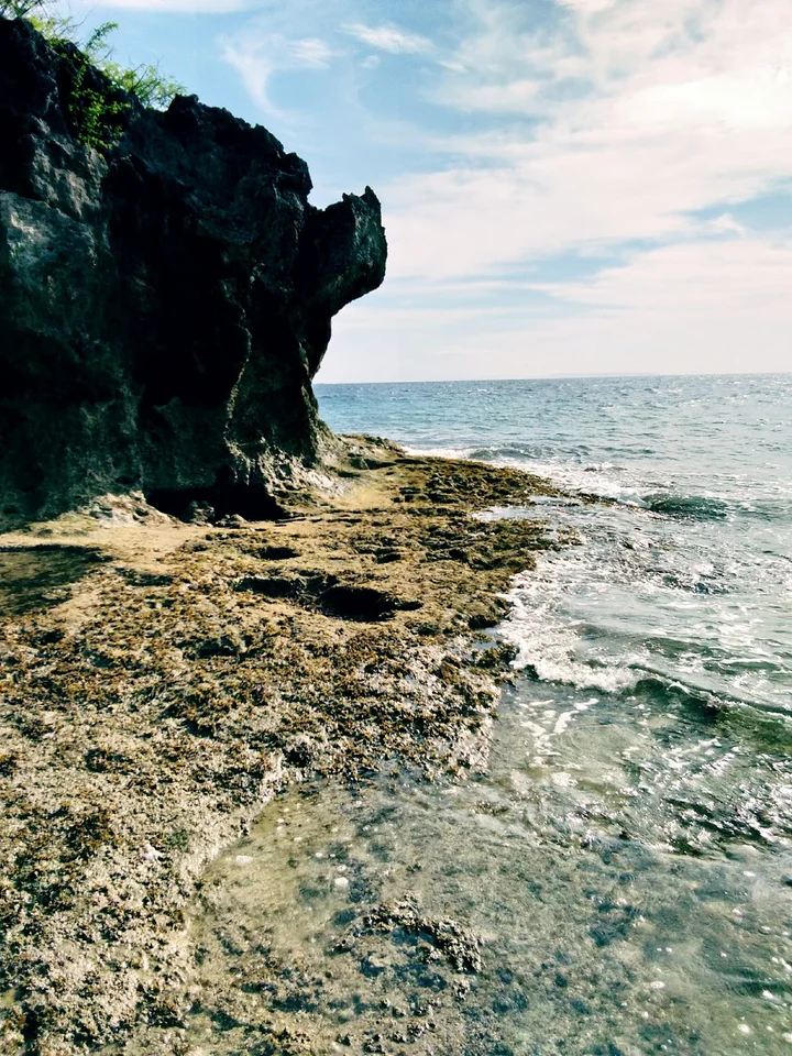 Turtle Point in Catmon, Central Visayas - Ask AI | mindtrip
