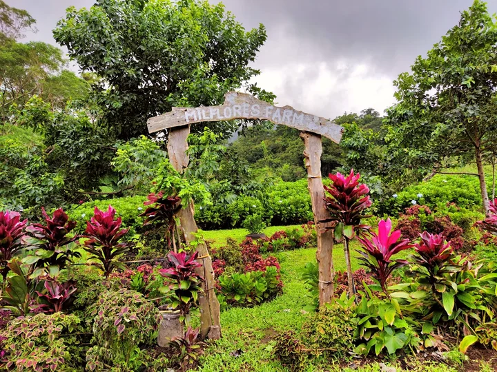 Bangkong Kahoy Valley in Dolores - Ask AI | mindtrip