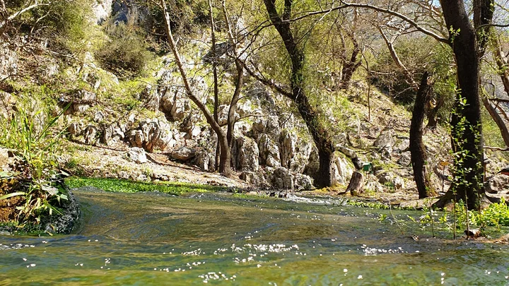 Planitero in Planitero, West Greece | Ask Anything