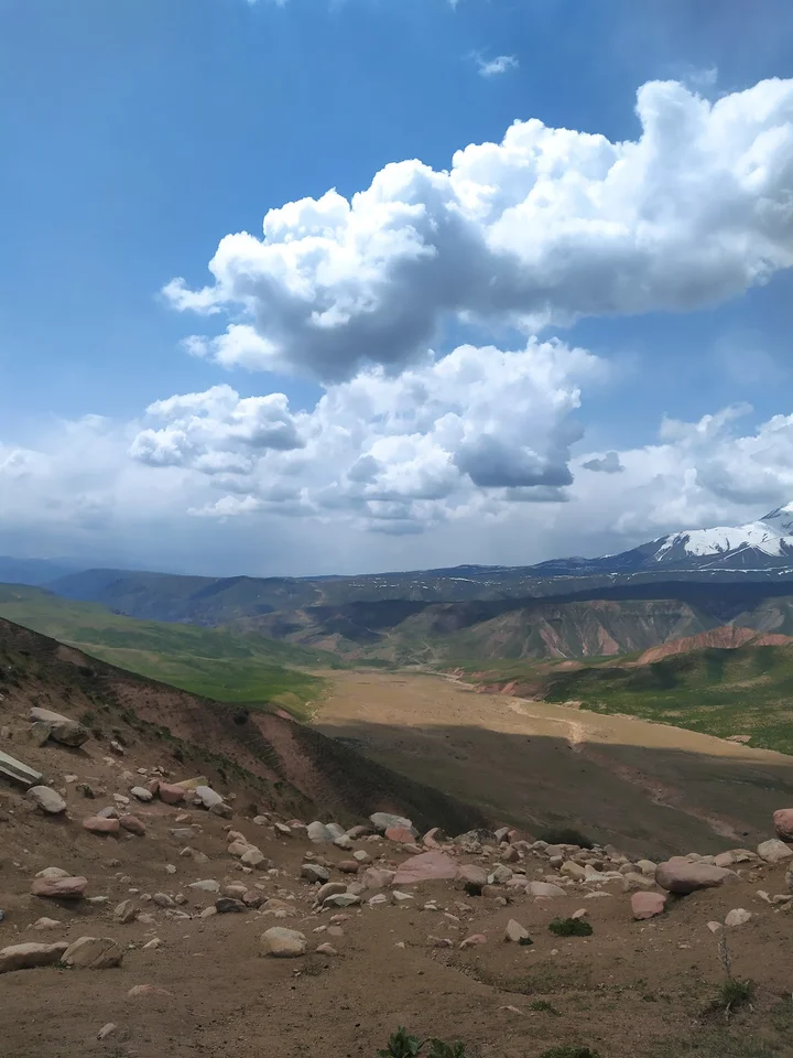 Lolazor in Andijan, Andijan region | Ask Anything