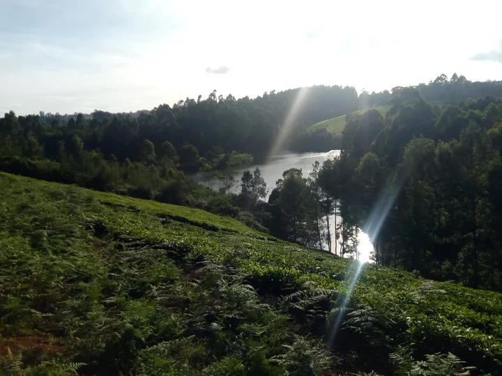 Ruiru Dam in Ruiru, Kiambu County - Ask AI | mindtrip