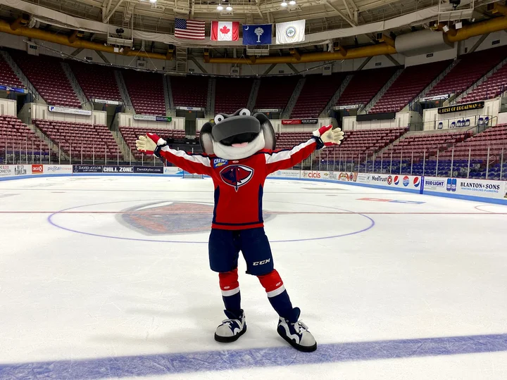 South Carolina Stingrays | What to Know Before You Go