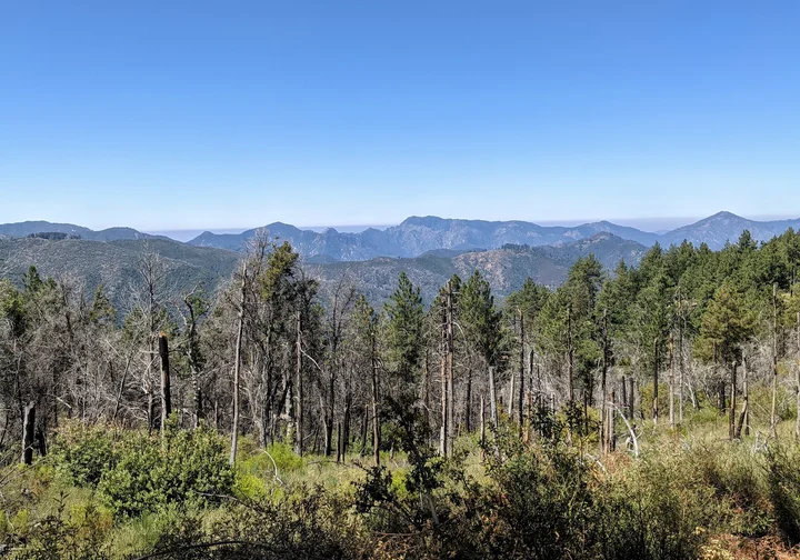 Chews Ridge Lookout in California - Ask AI | mindtrip