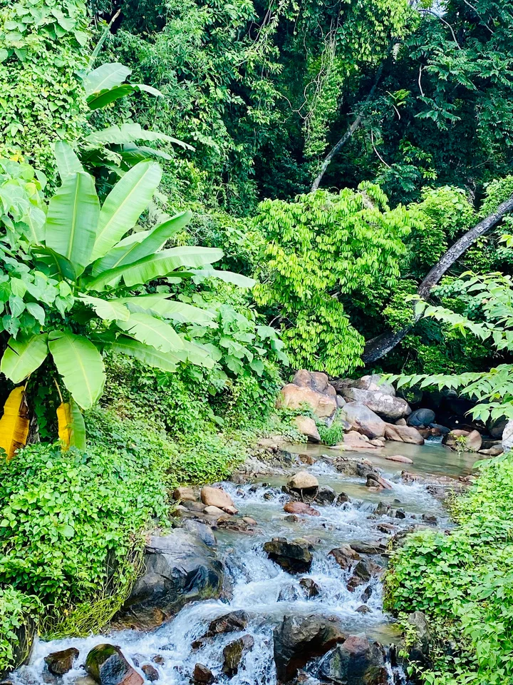 Mount Capuas in MIMAROPA - Ask AI | mindtrip