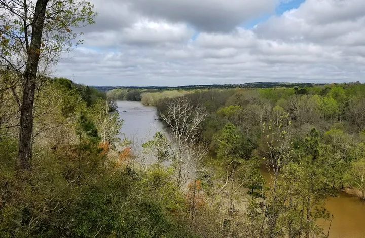 Cape Fear River | What to Know Before You Go