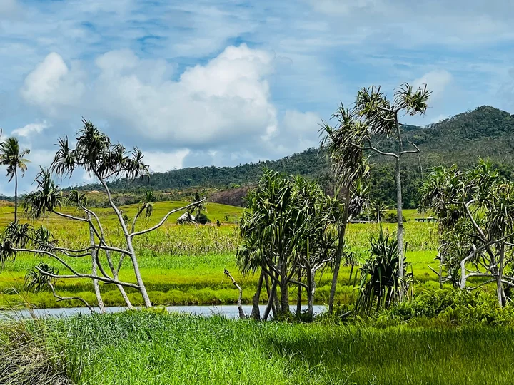Floating Island in Labasa | What to Know Before You Go