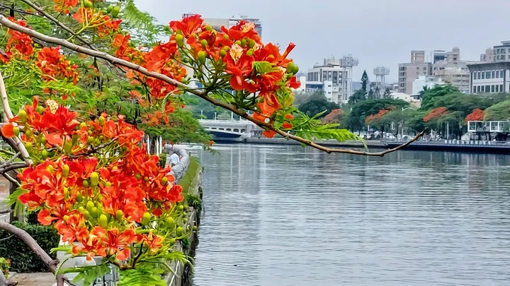 Kaohsiung Bridge in Lingya, Kaohsiung City | Ask Anything