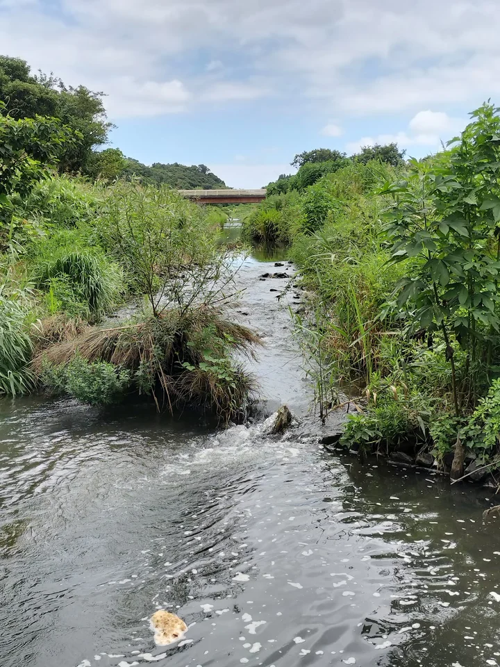 Miyako River Mizunosato Park in Chiba - Ask AI | mindtrip