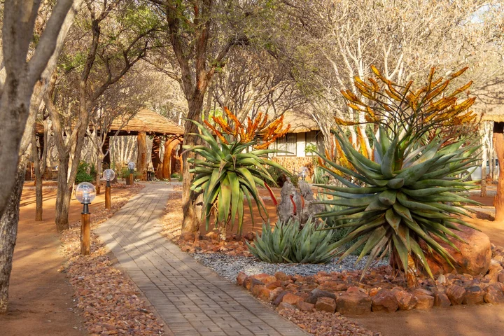 Inkulu Adventures in Limpopo - Ask AI | mindtrip
