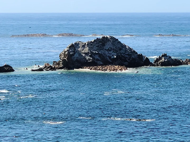 Simpson Reef Overlook in Charleston, Oregon | Ask Anything