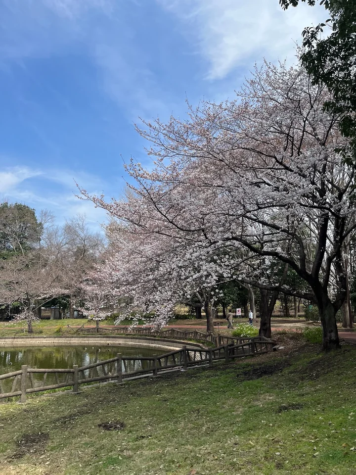 Kitamoto General Park | What to Know Before You Go
