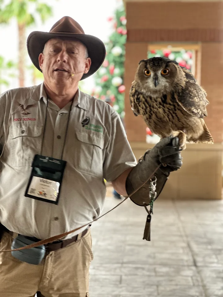 Rio Grande Valley Birding Festival | Ask Anything