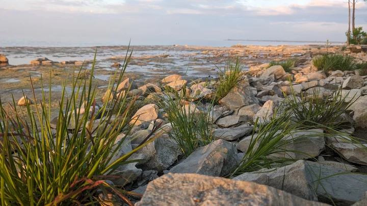 Craigleith Campground | What to Know Before You Go