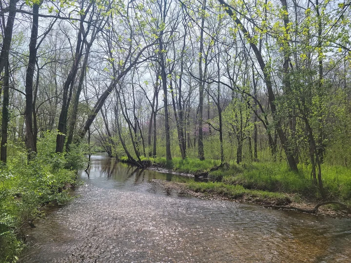 Springfield Conservation Nature Center - Ask AI | mindtrip