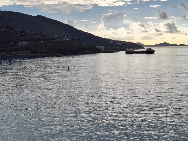Port Purcell in Road Town | What to Know Before You Go