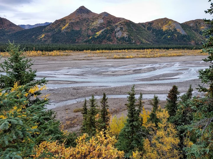 Denali Park Rd in Denali Park | What to Know Before You Go