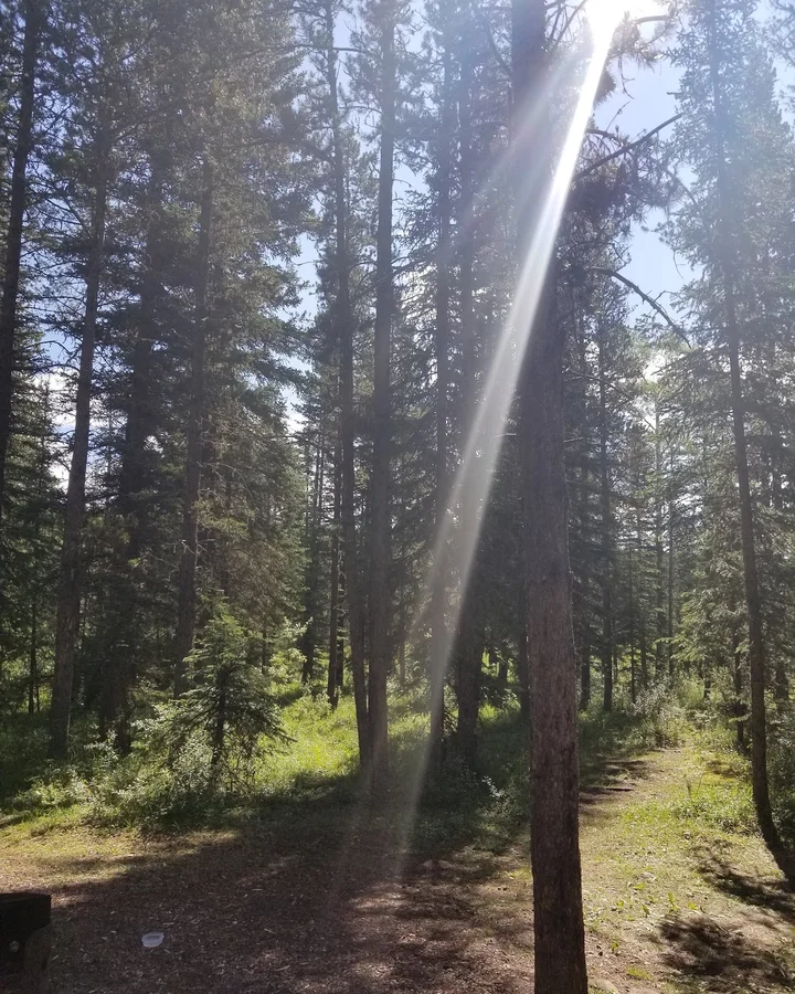 Cache Lake Campground in Hinton, Alberta - Ask AI | mindtrip