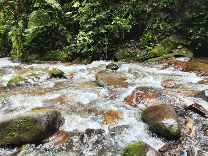 Santa Rita waterfall in Salento, Quindío - Ask AI | mindtrip
