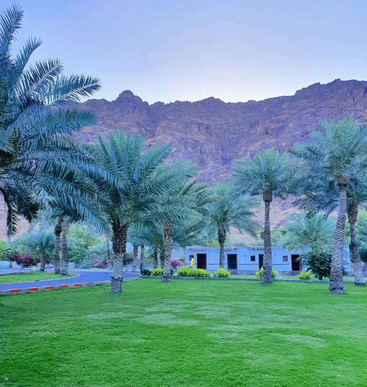 Prince Mohammed bin Abdul Aziz Park - Ask AI | mindtrip