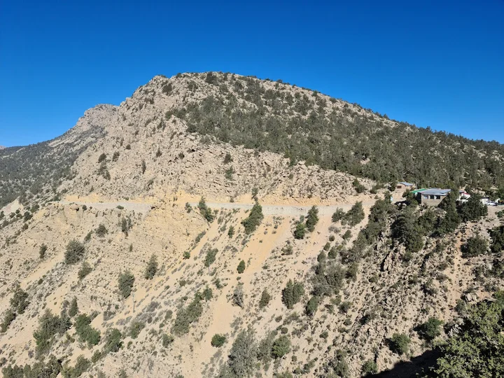 Allah tree at Zero point in Balochistan - Ask AI | mindtrip